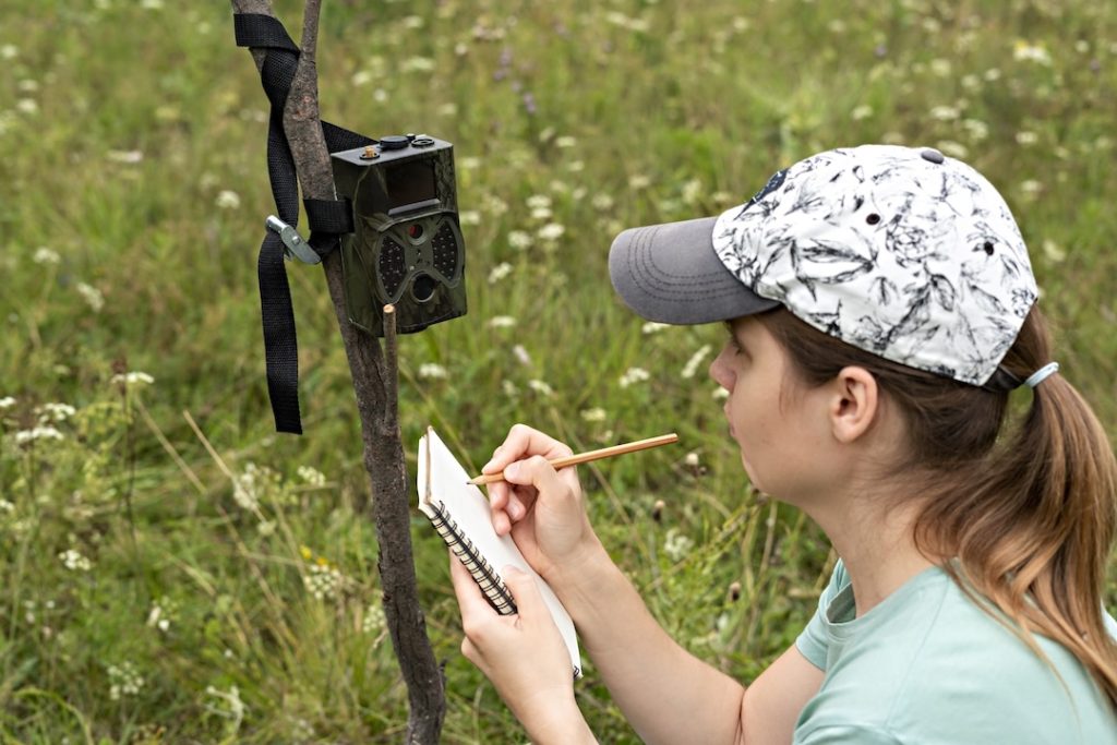 Young woman scientist zoologist writing down data from trap camera to notepad, observing wild animals in taiga forest, monitoring of rare and endangered animal species, ecology World Wildlife Day ecology SSUCv3H4sIAAAAAAAACpxSTU+EMBC9m/gfNj27CQUp6F/ZeBjaYWnsUtIWjTH73y2F4qx68tZ5781n3+f93eHAOvBasufD5xLFWBsz++AgaDtGuHjYcIejQkeRN1eJggKodLBOg6FgB0EOI1wwguNszAJfE8l8gDB79KS7H+YQ0Plg5WuEea6iHMLFB53K7CgvK9dToNPnlDoNNtibfJys1yHhnhKgbId7OzKchIDnuM3NePlYpzU+ZCKRMSNSjG2l133mLmEZWov/K3N9vOyDn3GUH8tsVzK1Q4OwnvS0StnrezzoJW2xiWBW2pKt3qwEswgqUmlyWurxTNJsGJIBcpq08xjcB52cGWsn6MzyS32siRkfwPsoVxmnh452sxfSZ7QhLbBVZSr+xBLyqmxKUfGyeazbgje8YdRHg4510jh5wHkyFhQuTfdr/3KYKFteN/WT2I//w2yrQPD2W7D7buPK+pv7ZcGsaUiDn278Q3NrzE0gxMrTL08aregH62VlJhAl7ws4di0Ux8dW1ce27+BYibZXABVILKO9rl8AAAD//wMAblQz6ggEAAA=